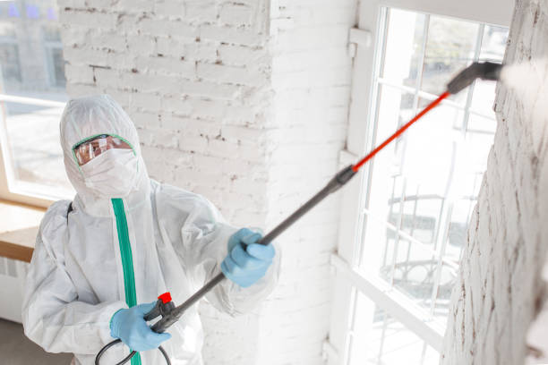 Best Asbestos and Lead Testing During Mold Inspection  in Lakeside, VA